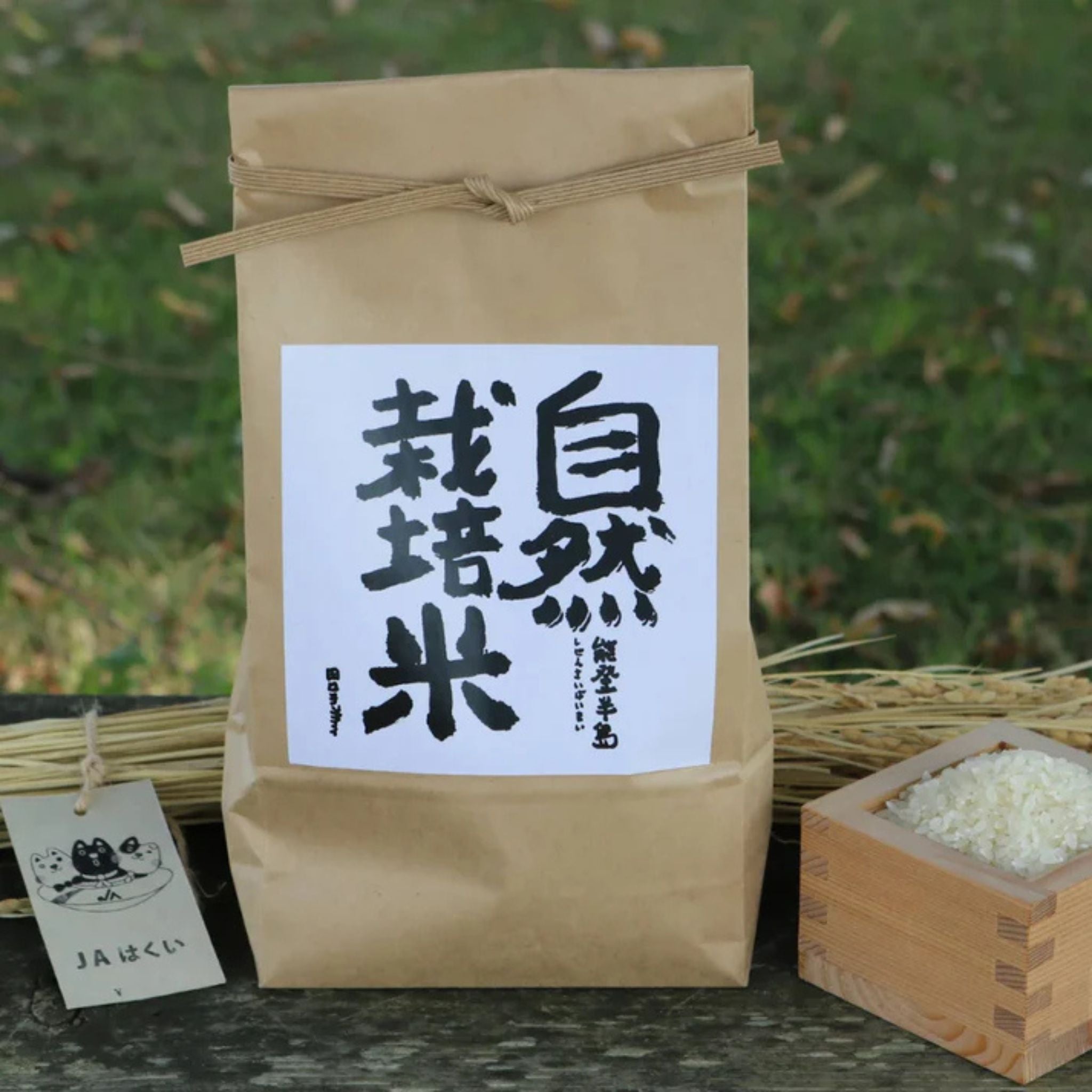 令和6年産／はくい市産・自然栽培米（コシヒカリ） - 白米 / 5kg (5kg×1袋）