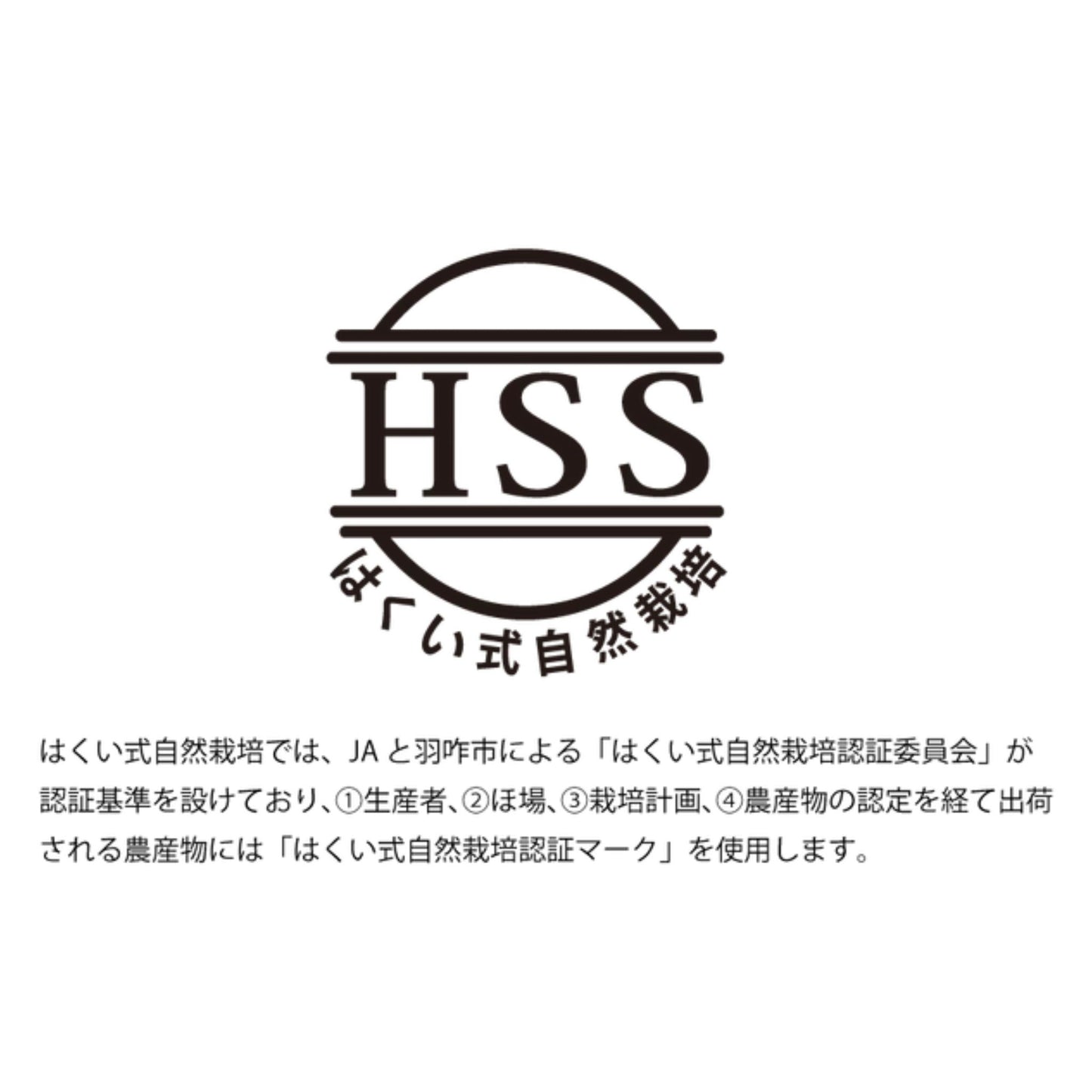 令和6年産／はくい市産・自然栽培米（コシヒカリ）